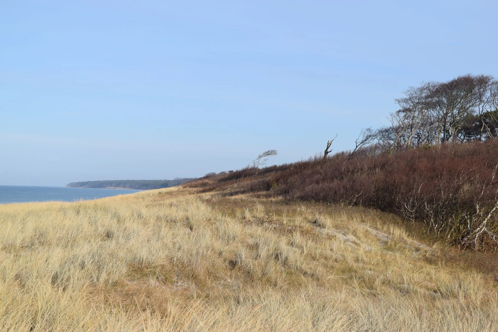 Landschaft Vorpommersche Boddenlandschaft